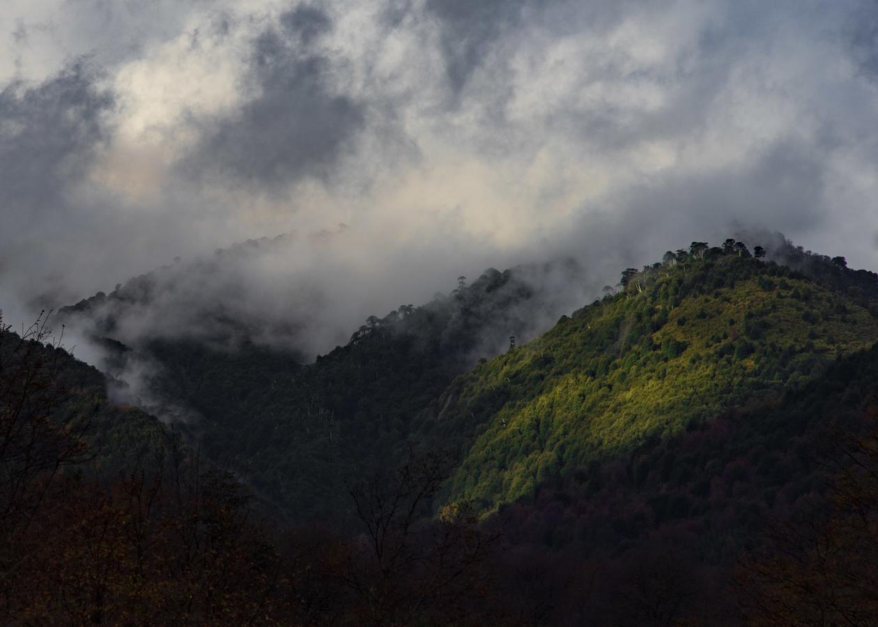 Parque Amavida Villa Malalcahuello Bagian luar foto