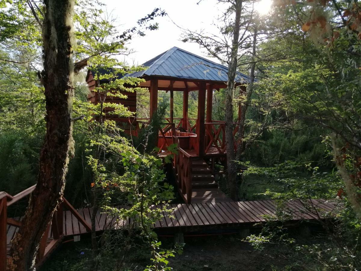 Parque Amavida Villa Malalcahuello Bagian luar foto