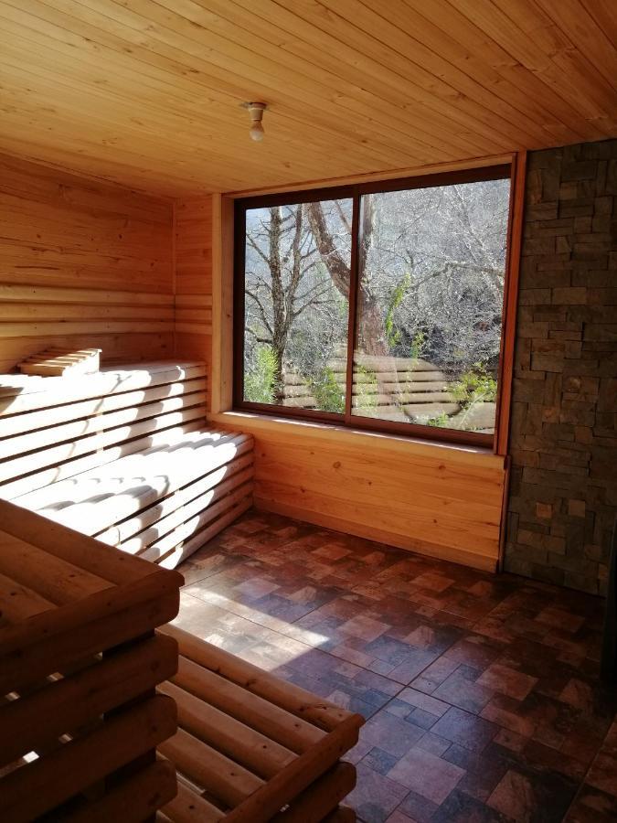 Parque Amavida Villa Malalcahuello Bagian luar foto